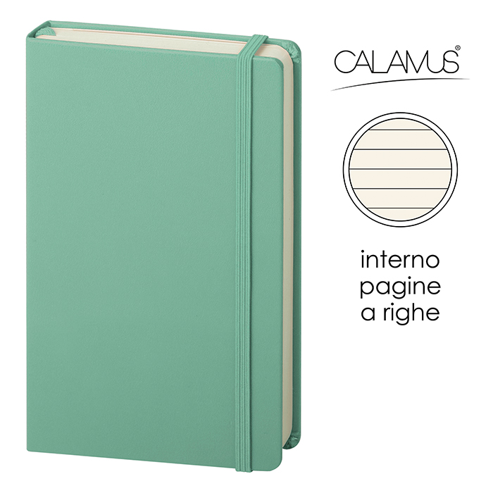 NOTES CALAMUS VU Acqua Marina - immagine 6