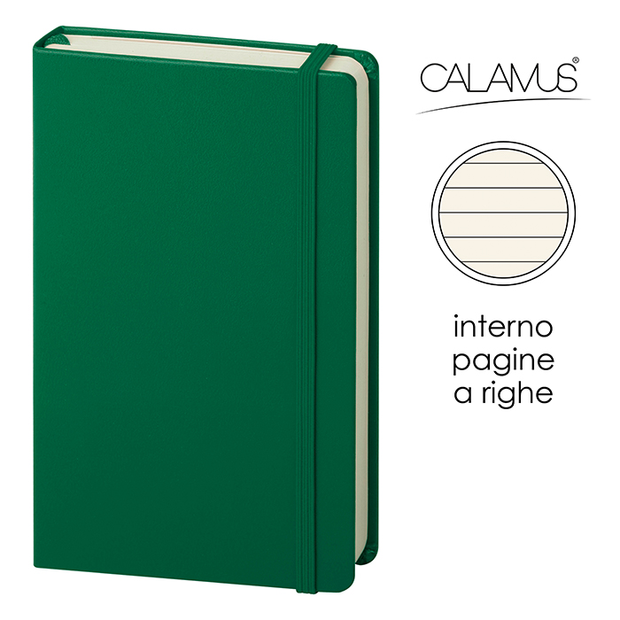 NOTES CALAMUS VU Verde - immagine 12