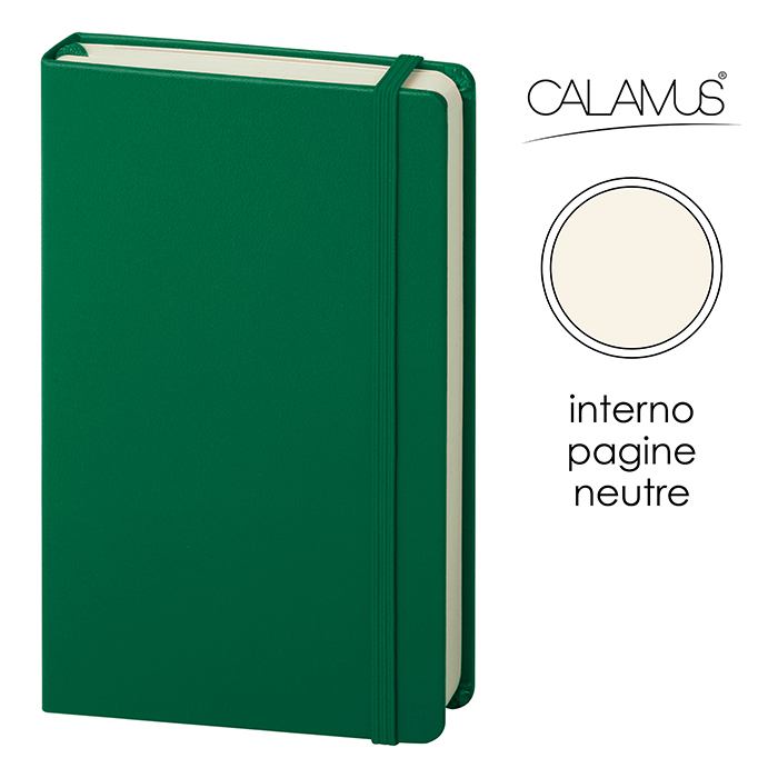 NOTES CALAMUS VU Verde - immagine 5