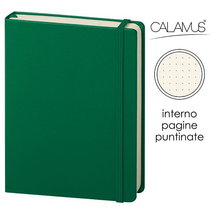 NOTES MAXI CALAMUS VU Verde - immagine 6