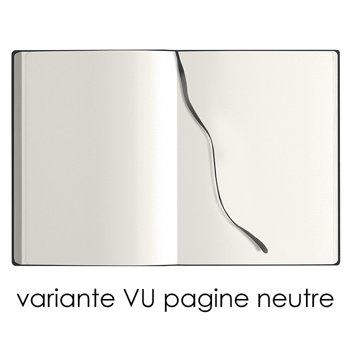 NOTES MAXI CALAMUS RI Ottanio - immagine 5