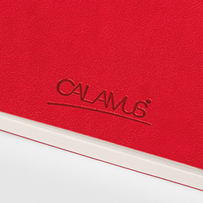 NOTES CALAMUS RI Blu - immagine 10