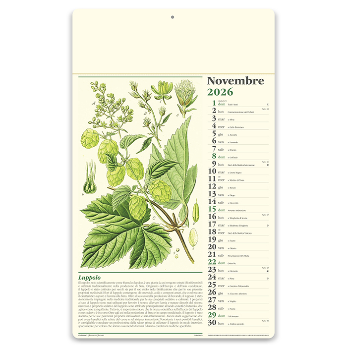 ERBORISTERIA Neutro - immagine 8