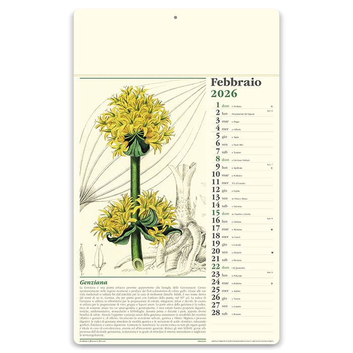 ERBORISTERIA Neutro - immagine 10
