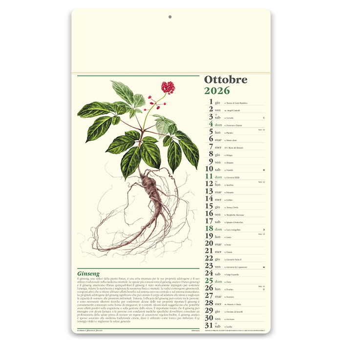 ERBORISTERIA Neutro - immagine 3