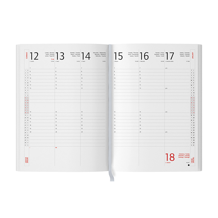 AGENDA BORSELLO  Marrone