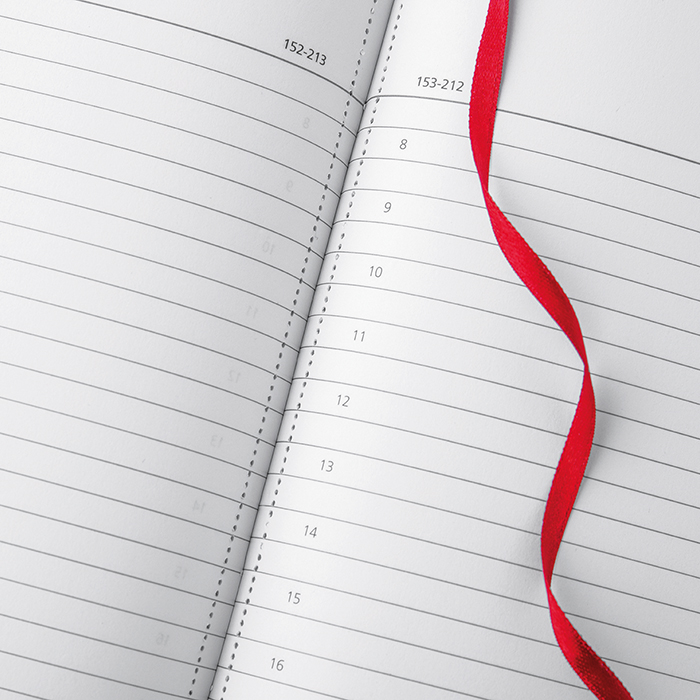 AGENDA GIORNALIERA MAXI  Verde