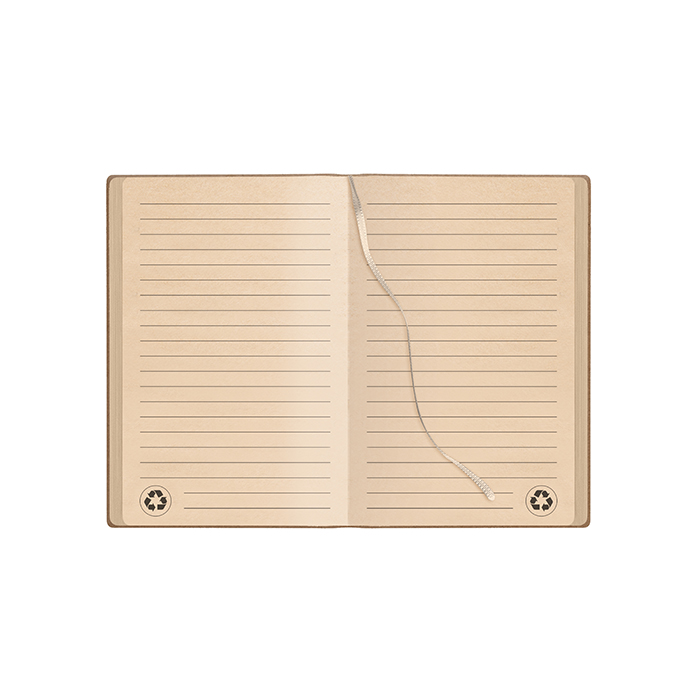NOTES RIGHE Verde
