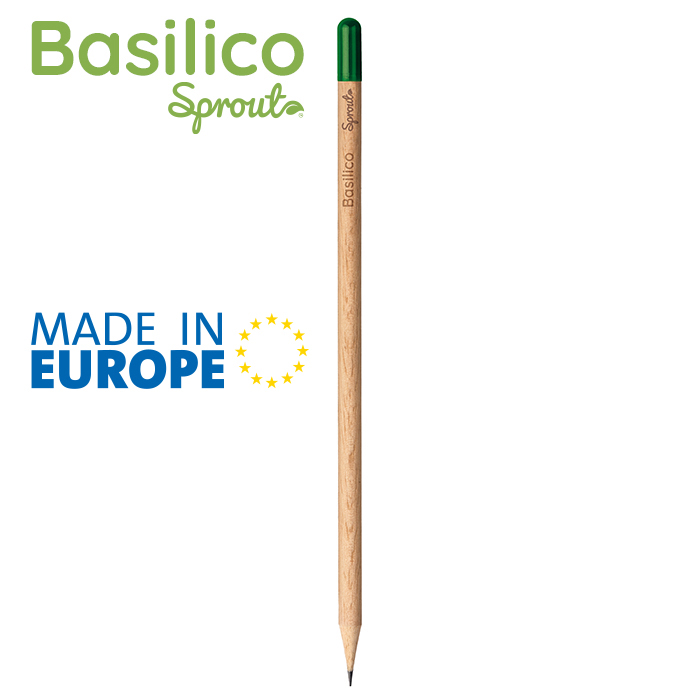 BASILICO Neutro - immagine 5